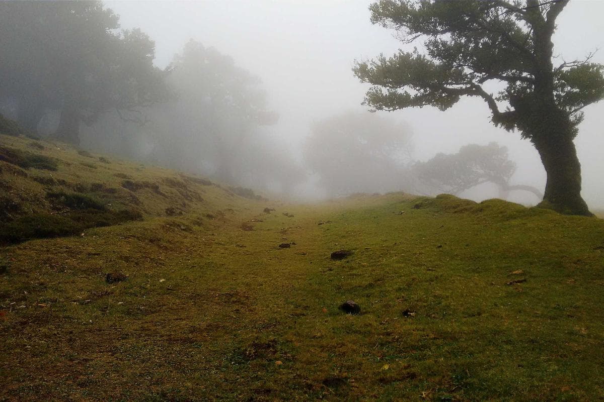 4-Zimmer-Altbauwohnung Dresden-Neustadt